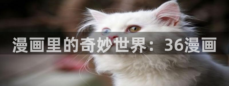 yy漫画在线阅读免费漫画阅读