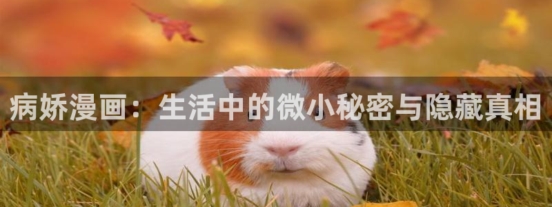 yy漫画韩漫在线阅读