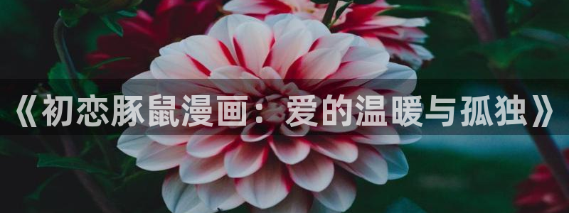 yy漫画韩国免费