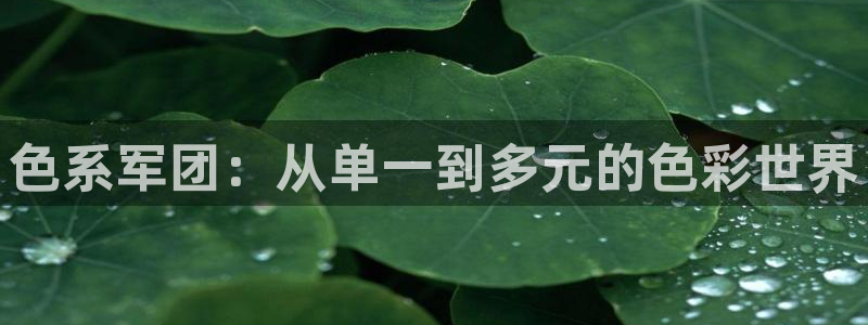 yy漫画在线版免费阅读