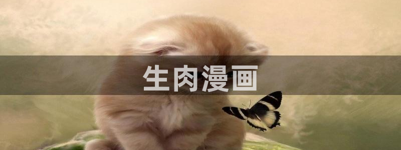 yy漫画com