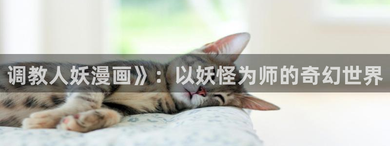 yy漫画登录页面免费漫画在