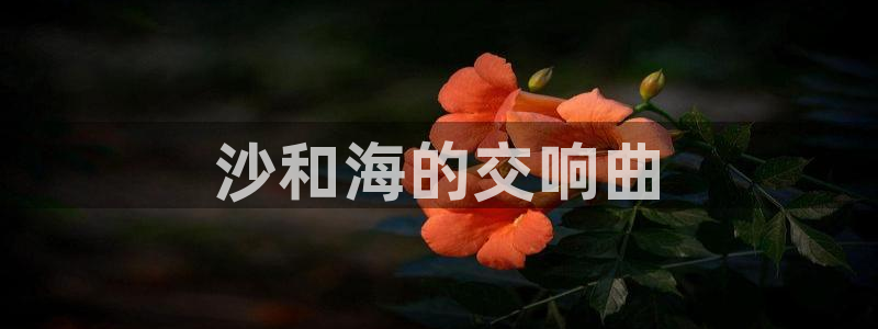 yy漫画是什么