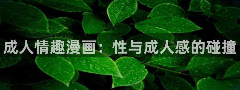 yy漫画破解版无限金币：成人情趣漫画：性与成人感的碰撞