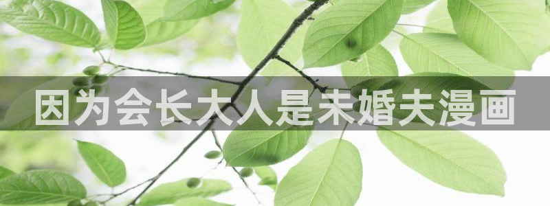 yy漫画日本漫画大全